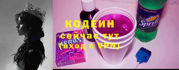 дурь Бородино