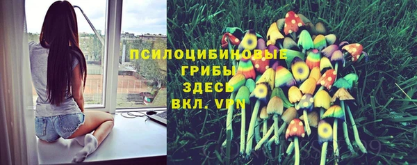 дживик Волосово