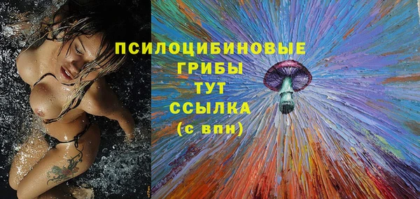 бошки Володарск