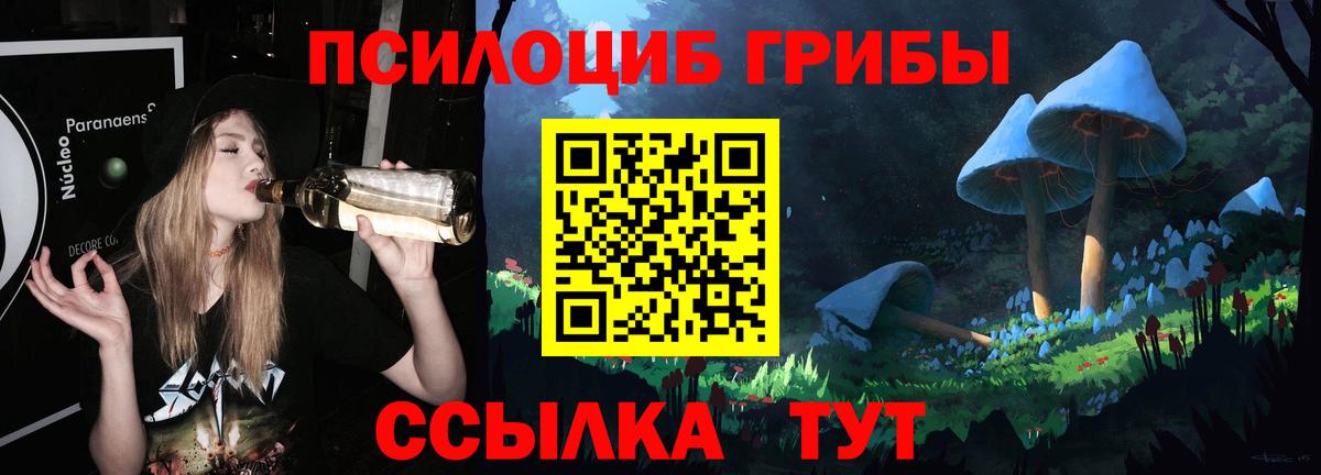 Псилоцибиновые грибы мухоморы Можайск