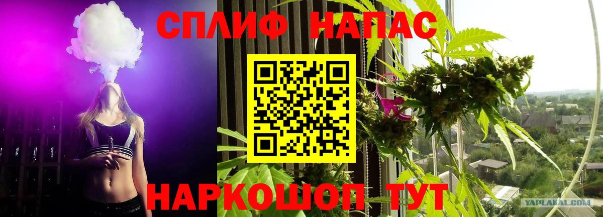 Конопля OG Kush  Бошки Шишки MAZAR  Марихуана планчик  Вход с VPN  Можайск  Канабис марихуана 